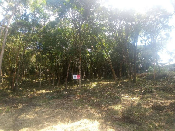 Imagem Terreno à Venda, em Planta Granjas Eldorado - Piraquara Imagem Terreno à Venda, em Planta Granjas Eldorado - Piraquara