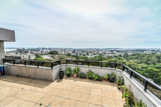 Imagem Cobertura com 3 Quartos à Venda, 207 m² em Santa Tereza - Porto Alegre