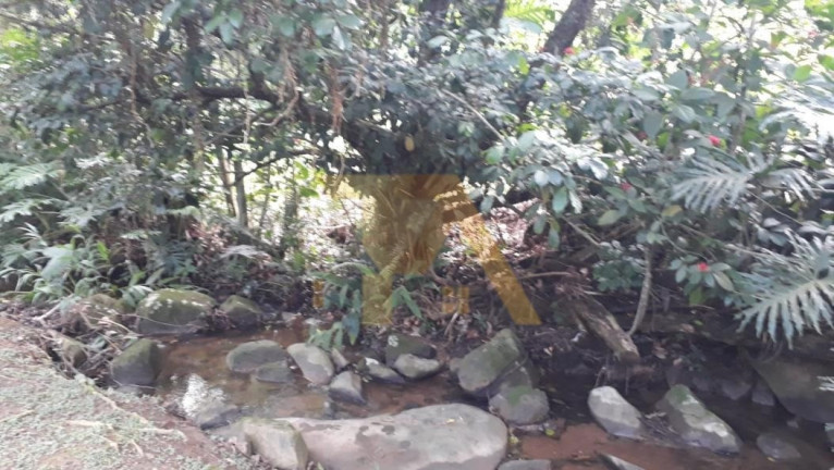 Imagem Imóvel com 3 Quartos à Venda,  em Encantada - Garopaba