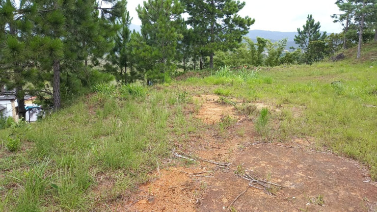 Imagem Terreno à Venda, 2.640 m² em Areias De Palhocinha - Garopaba Imagem Terreno à Venda, 2.640 m² em Areias De Palhocinha - Garopaba