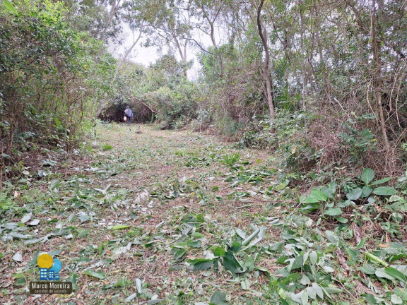 Imagem Terreno à Venda, 8.610 m² em São João Do Rio Vermelho - Florianópolis Imagem Terreno à Venda, 8.610 m² em São João Do Rio Vermelho - Florianópolis