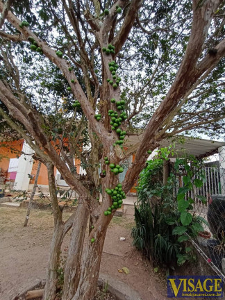 Imagem Chácara com 4 Quartos à Venda, 1 m² em Chácaras Santa Maria - Jacareí Imagem Chácara com 4 Quartos à Venda, 1 m² em Chácaras Santa Maria - Jacareí