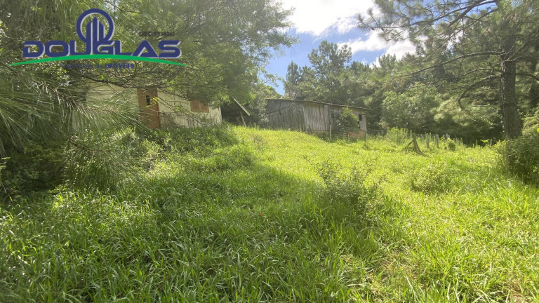 Imagem Terreno à Venda, 5.000 m² em Viamão Imagem Terreno à Venda, 5.000 m² em Viamão