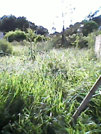 Imagem Imóvel à Venda, 350 m² em Arroio Teixeira - Capao Da Canoa Imagem Imóvel à Venda, 350 m² em Arroio Teixeira - Capao Da Canoa