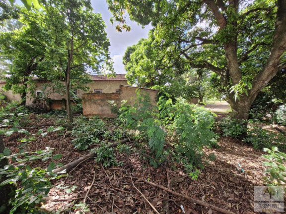 Imagem Terreno à Venda, 229 m² em Jardim America - Goiânia Imagem Terreno à Venda, 229 m² em Jardim America - Goiânia