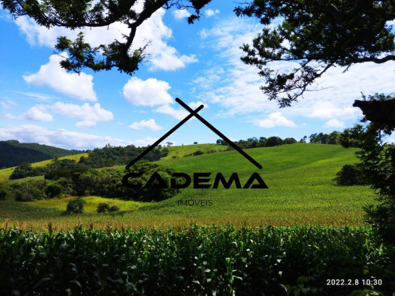 Imagem Fazenda à Venda, 60 m² em Zona Rural - Monte Sião