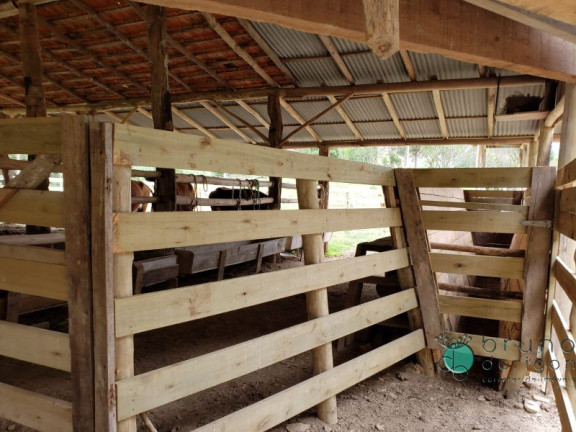 Imagem Imóvel com 3 Quartos à Venda, 250.000 m² em Zona Rural - Bom Retiro