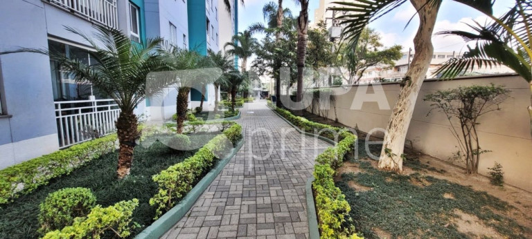 Imagem Apartamento com 2 Quartos à Venda, 48 m² em Parque Novo Mundo - São Paulo Imagem Apartamento com 2 Quartos à Venda, 48 m² em Parque Novo Mundo - São Paulo