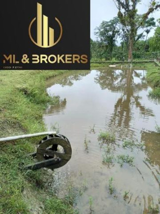 Imagem Imóvel com 3 Quartos à Venda, 48.000 m² em Cubatão De Guaratuba - Guaratuba