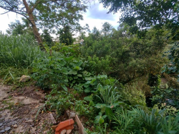 Terreno à Venda, 2.975 m² em João Paulo - Florianópolis
