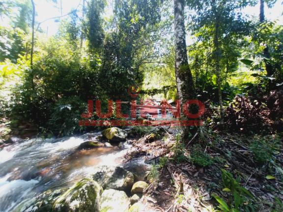 Chácara à Venda, 13.000 m² em Rio Natal - São Bento Do Sul