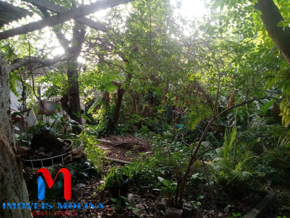 Imagem Terreno à Venda, 660 m² em Vila Nova Pauliceia - São Paulo Imagem Terreno à Venda, 660 m² em Vila Nova Pauliceia - São Paulo