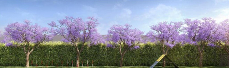 Imagem Imóvel com 2 Quartos à Venda, 61 m² em Planalto - São Bernardo Do Campo Imagem Imóvel com 2 Quartos à Venda, 61 m² em Planalto - São Bernardo Do Campo