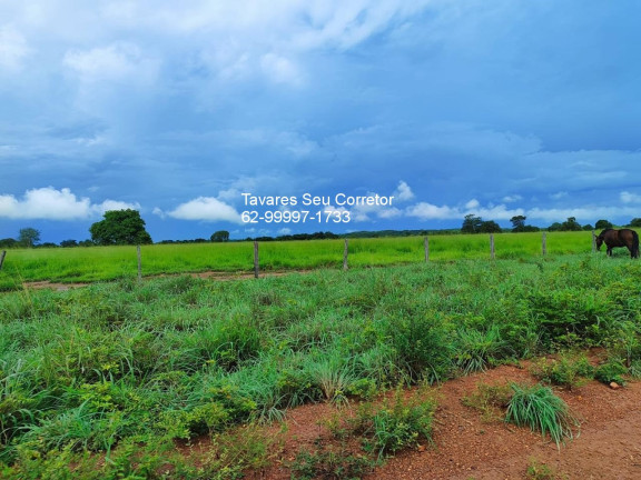 Imagem Imóvel à Venda, 83.400 m² em Joatão - São Félix Do Araguaia Imagem Imóvel à Venda, 83.400 m² em Joatão - São Félix Do Araguaia