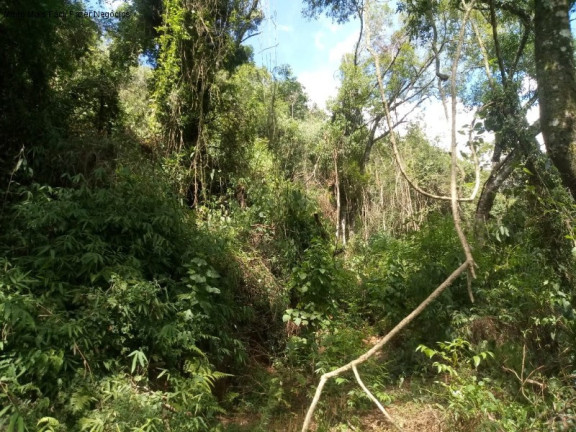 Imagem Terreno à Venda, 3 m² em Linha Pirajá Alta - Nova Petrópolis