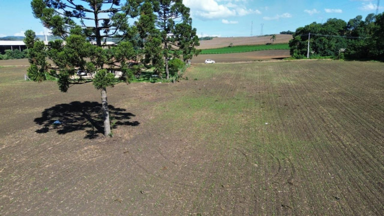 Imagem Fazenda à Venda, 19.400 m² em Tranqueira - Almirante Tamandare Imagem Fazenda à Venda, 19.400 m² em Tranqueira - Almirante Tamandare