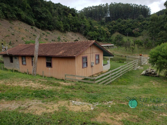Imagem Imóvel com 3 Quartos à Venda, 250.000 m² em Zona Rural - Bom Retiro