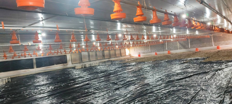 Imagem Chácara com 3 Quartos à Venda, 774 m² em Zona Rural - Alambari