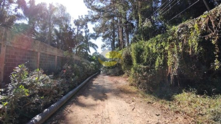 Imagem Terreno à Venda, 2.000 m² em Jardim Colibri - Cotia Imagem Terreno à Venda, 2.000 m² em Jardim Colibri - Cotia