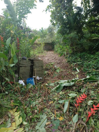 Imagem Terreno à Venda, 500 m² em Itamambuca - Ubatuba Imagem Terreno à Venda, 500 m² em Itamambuca - Ubatuba