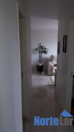 Imagem Apartamento com 3 Quartos à Venda, 78 m² em Limão - São Paulo
