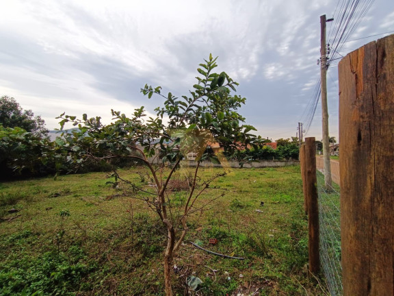 Imagem Imóvel com 2 Quartos à Venda,  em Campo D´una - Garopaba
