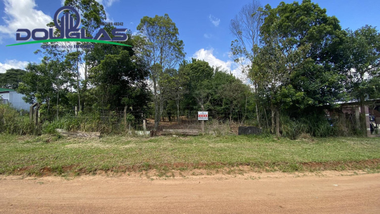 Imagem Terreno à Venda, 1.000 m² em águas Claras - Viamão Imagem Terreno à Venda, 1.000 m² em águas Claras - Viamão