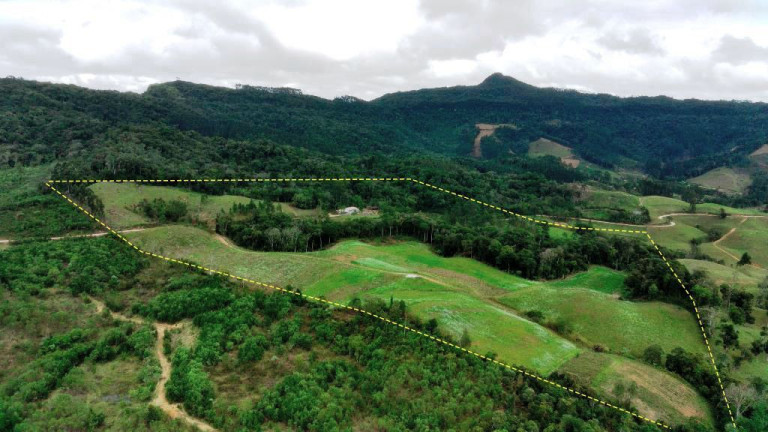 Imagem Imóvel com 6 Quartos à Venda, 250.000 m² em Zona Rural - Apiúna