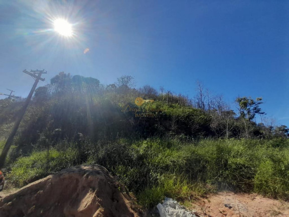 Imagem Terreno à Venda, 1.000 m² em Prata - Teresópolis Imagem Terreno à Venda, 1.000 m² em Prata - Teresópolis