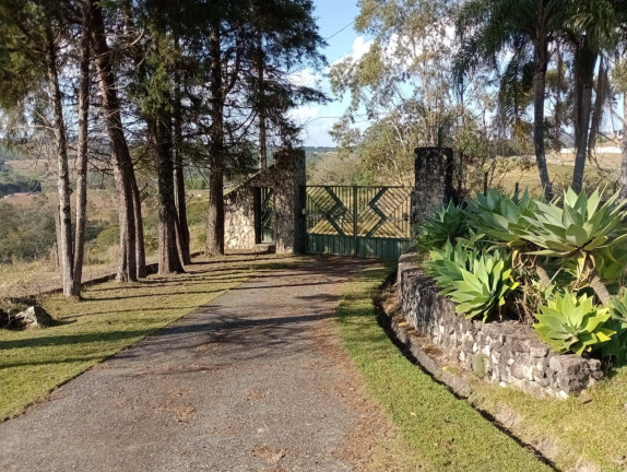 Imagem Chácara com 4 Quartos à Venda, 12.000 m² em Ortizes - Piedade