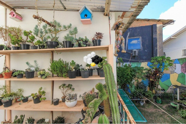 Imagem Casa com 5 Quartos à Venda, 254 m² em Três Figueiras - Porto Alegre