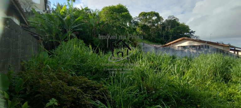 Imagem Terreno à Venda, 337 m² em Massaguaçu - Caraguatatuba