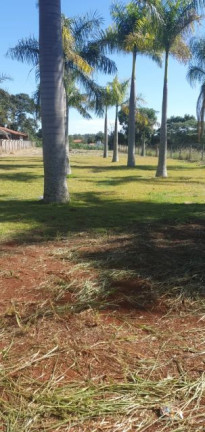 Imagem Imóvel à Venda, 2.300 m² em Gleba Fazenda Palhano - Londrina Imagem Imóvel à Venda, 2.300 m² em Gleba Fazenda Palhano - Londrina