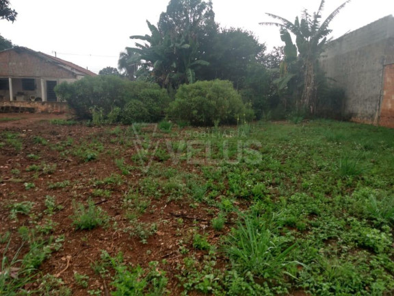 Imagem Imóvel com 1 Quarto à Venda, 2.970 m² em Vila Apolo - Itapetininga Imagem Imóvel com 1 Quarto à Venda, 2.970 m² em Vila Apolo - Itapetininga