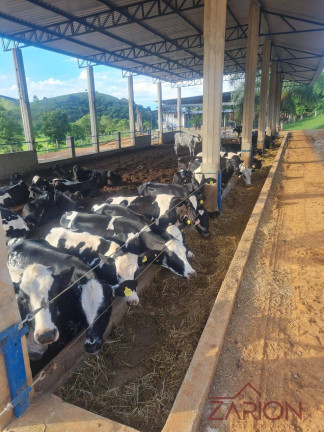 Imagem Fazenda à Venda, 138 m² em área Rural De Lorena - Lorena Imagem Fazenda à Venda, 138 m² em área Rural De Lorena - Lorena
