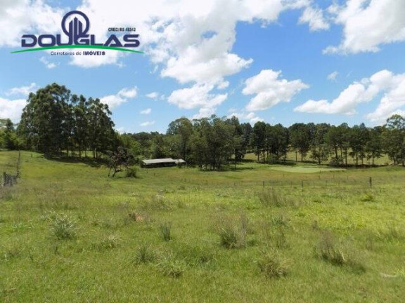 Imagem Chácara com 2 Quartos à Venda, 190.000 m² em Viamão Imagem Chácara com 2 Quartos à Venda, 190.000 m² em Viamão