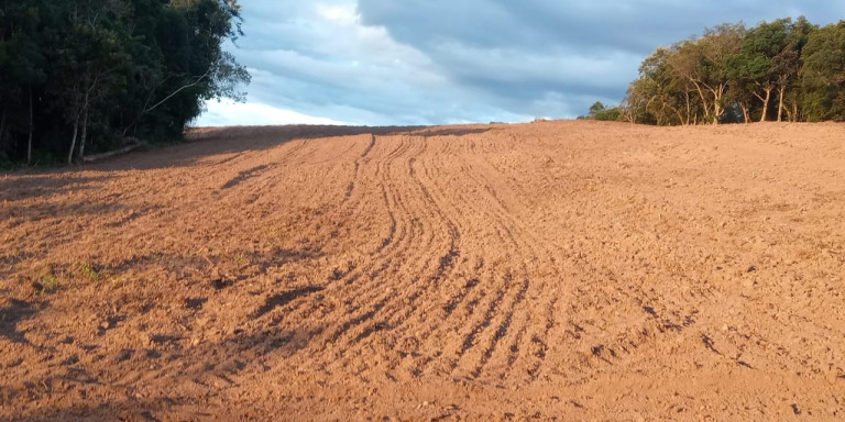 Imóvel com 3 Quartos à Venda, 47.000 m² em Centro - Campo Largo