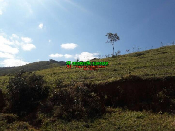 Imagem Chácara à Venda, 10.000 m² em São Francisco Xavier - São José Dos Campos Imagem Chácara à Venda, 10.000 m² em São Francisco Xavier - São José Dos Campos