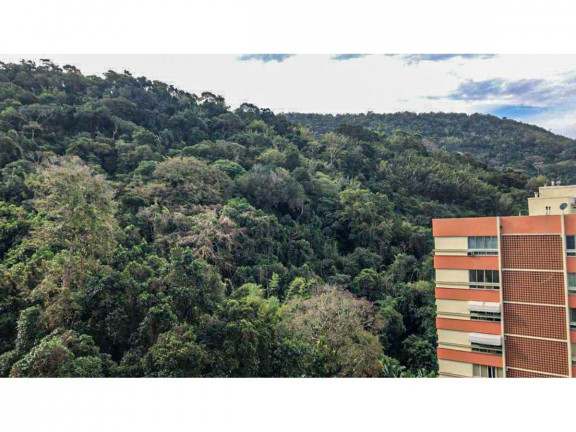 Imagem Apartamento com 1 Quarto à Venda, 24 m² em Laranjeiras - Rio De Janeiro
