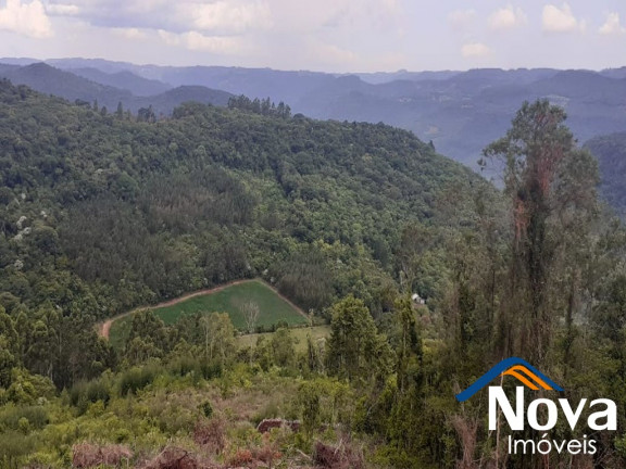 Imagem Imóvel à Venda,  em Linha Olinda - Nova Petrópolis