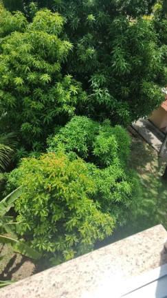 Imagem Apartamento com 3 Quartos à Venda, 53 m² em Campo Grande - Rio De Janeiro
