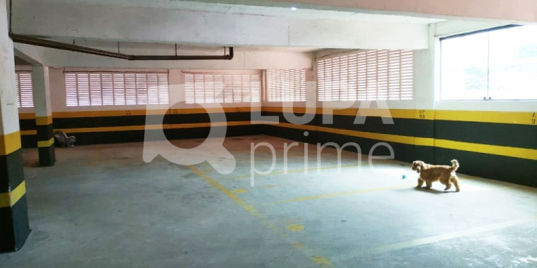 Imagem Apartamento com 4 Quartos à Venda, 150 m² em Vila Paulicéia - São Paulo Imagem Apartamento com 4 Quartos à Venda, 150 m² em Vila Paulicéia - São Paulo