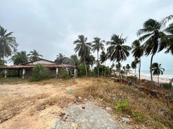 Imagem Terreno à Venda, 3.550 m² em Praia De Caraúbas - Maxaranguape Imagem Terreno à Venda, 3.550 m² em Praia De Caraúbas - Maxaranguape