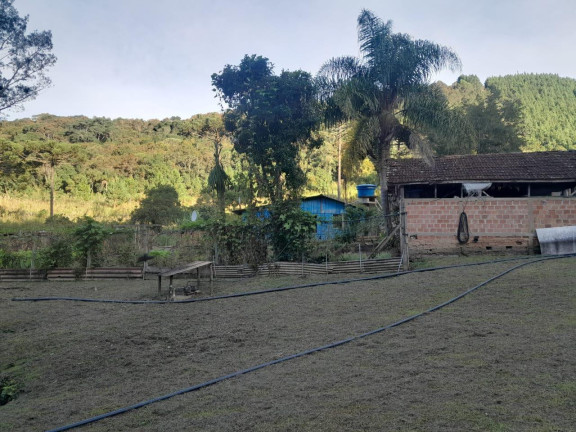 Imagem Imóvel com 3 Quartos à Venda, 72.000 m² em Centro - Tunas Do Parana