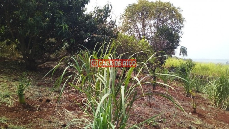 Imagem Imóvel à Venda, 90 m² em Da Gleba Jacutinga - Londrina Imagem Imóvel à Venda, 90 m² em Da Gleba Jacutinga - Londrina