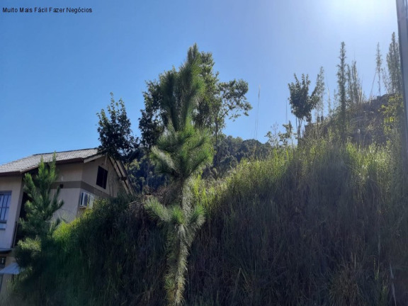 Imagem Terreno à Venda, 416 m² em Piá - Nova Petrópolis Imagem Terreno à Venda, 416 m² em Piá - Nova Petrópolis