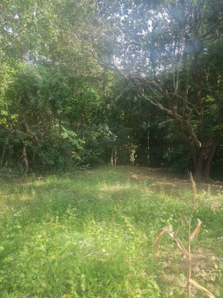 Terreno à Venda, 2.000 m² em Bairro Da Lavrinha - Pilar Do Sul