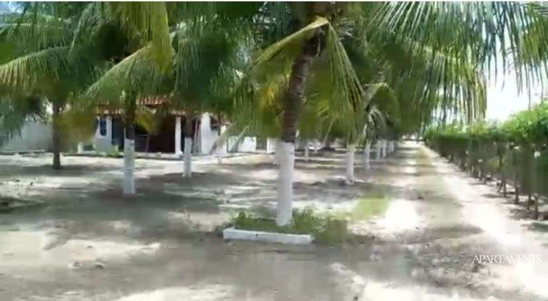 Imagem Casa com 6 Quartos à Venda, 400 m² em Planta De Lucena - Lucena