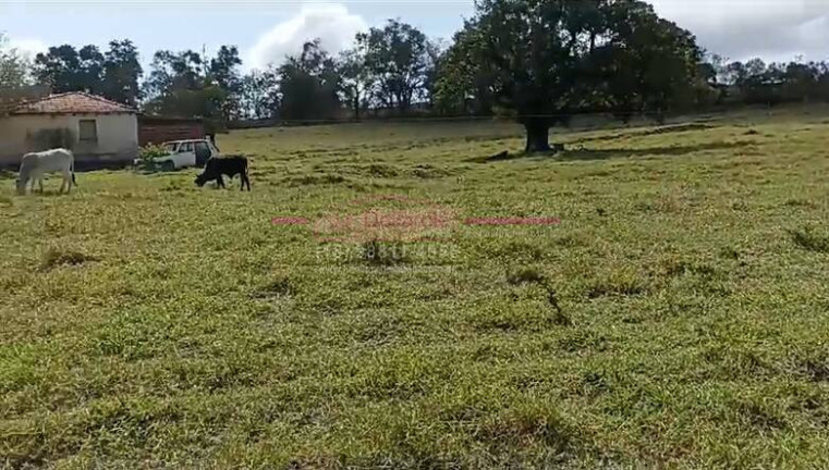 Imagem Chácara com 2 Quartos à Venda, 150 m² em área Rural De Tatuí - Tatuí
