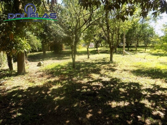 Imagem Imóvel Comercial à Venda, em Viamão Imagem Imóvel Comercial à Venda, em Viamão
